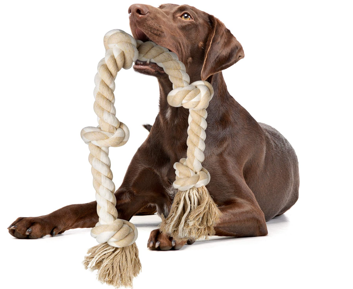 Dog Rope Toys for Aggressive Chewers