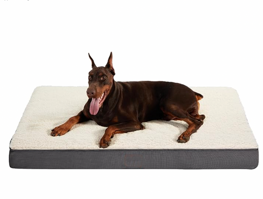 chew proof dog bed