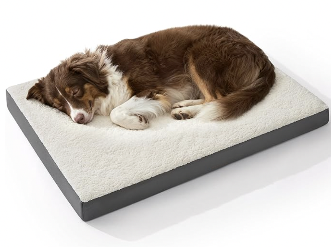 durable dog beds