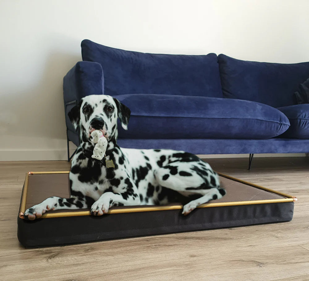 Chew Resistant dog bed