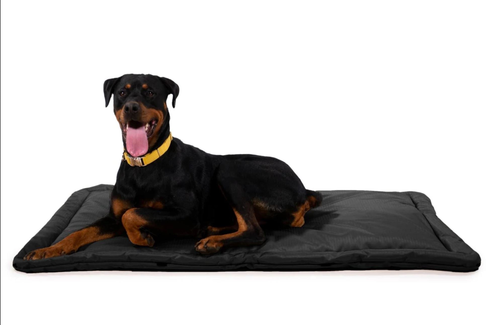 indestructible dog pad