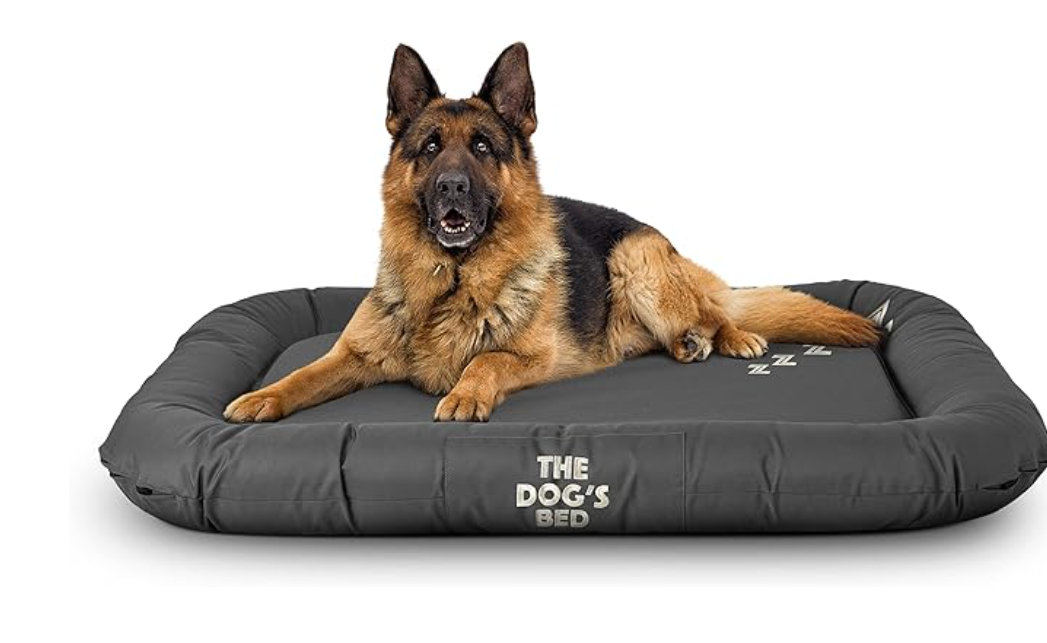 Chew Resistant dog bed