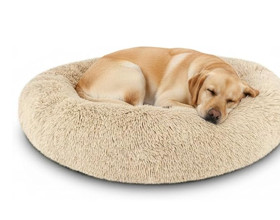 Chew Proof crate pad