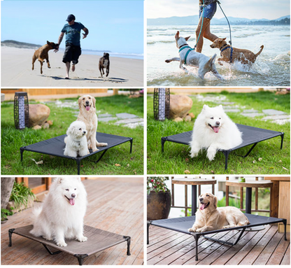 Indestructible elevated dog bed (Chew proof+)
