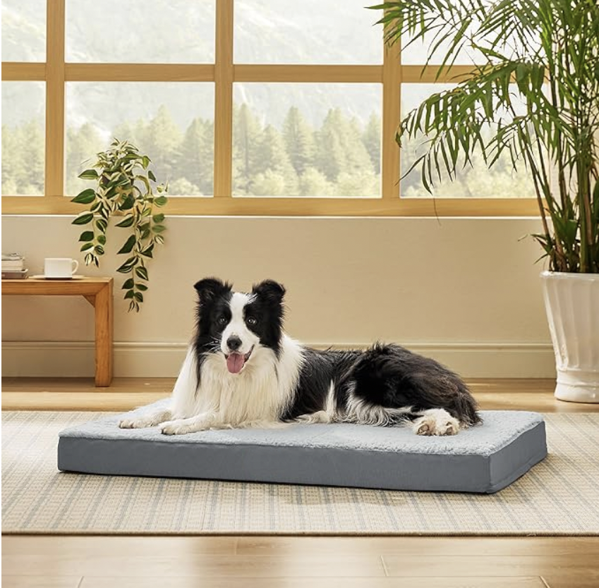 dog bed for chewer