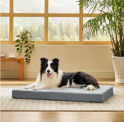 dog bed for chewer