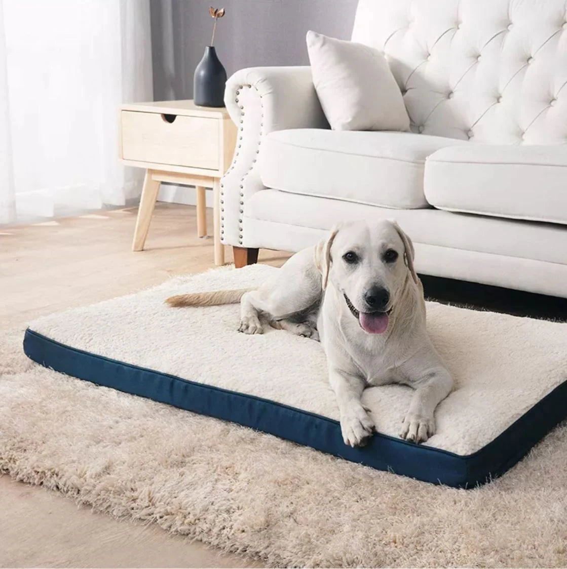chew proof dog bed