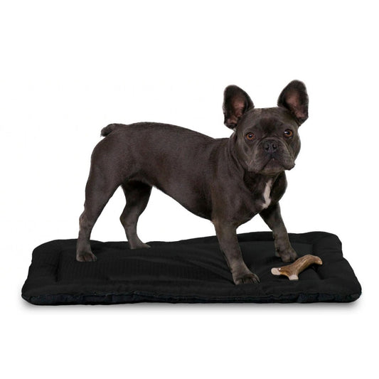 chew resistant dog bed