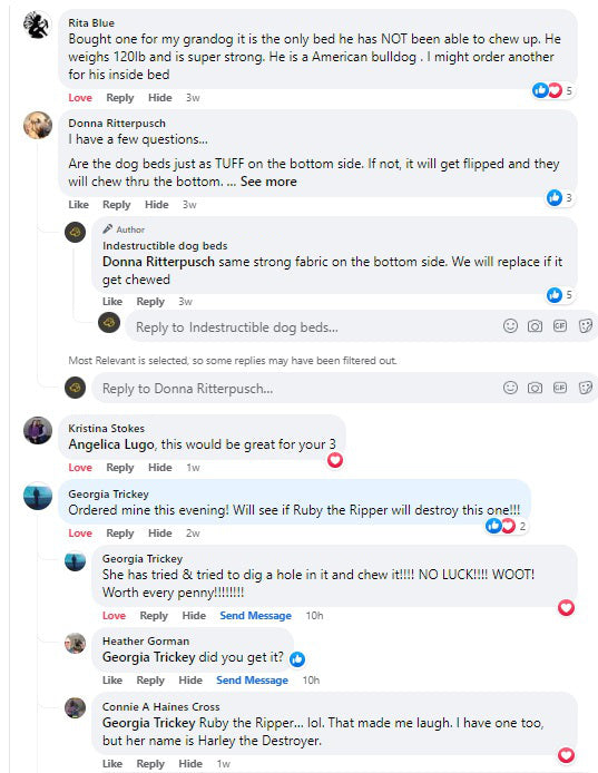 durable dog bed for chewers