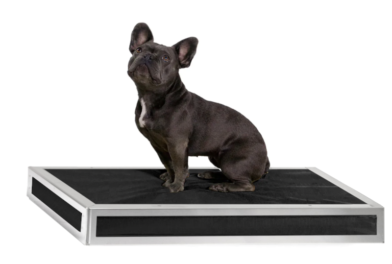 Tough dog bed