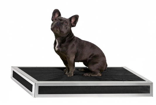 Tough dog bed