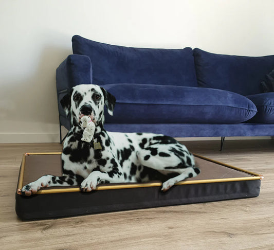 Chew Resistant dog bed
