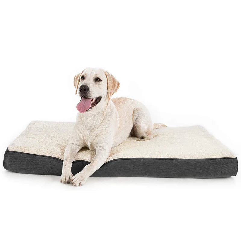 best indestructible dog bed