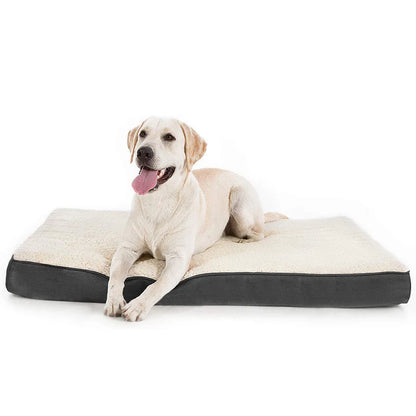 best indestructible dog bed