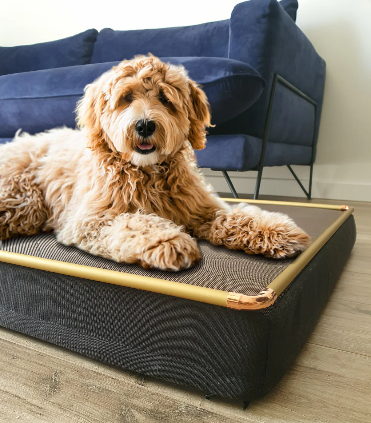 Tough dog bed