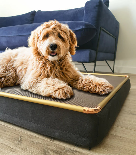 Tough dog bed