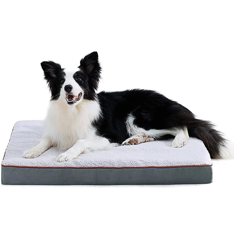 unchewable dog bed
