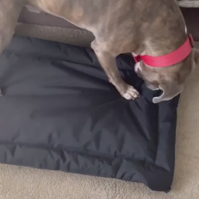 Load video: durable dog bed for chewers